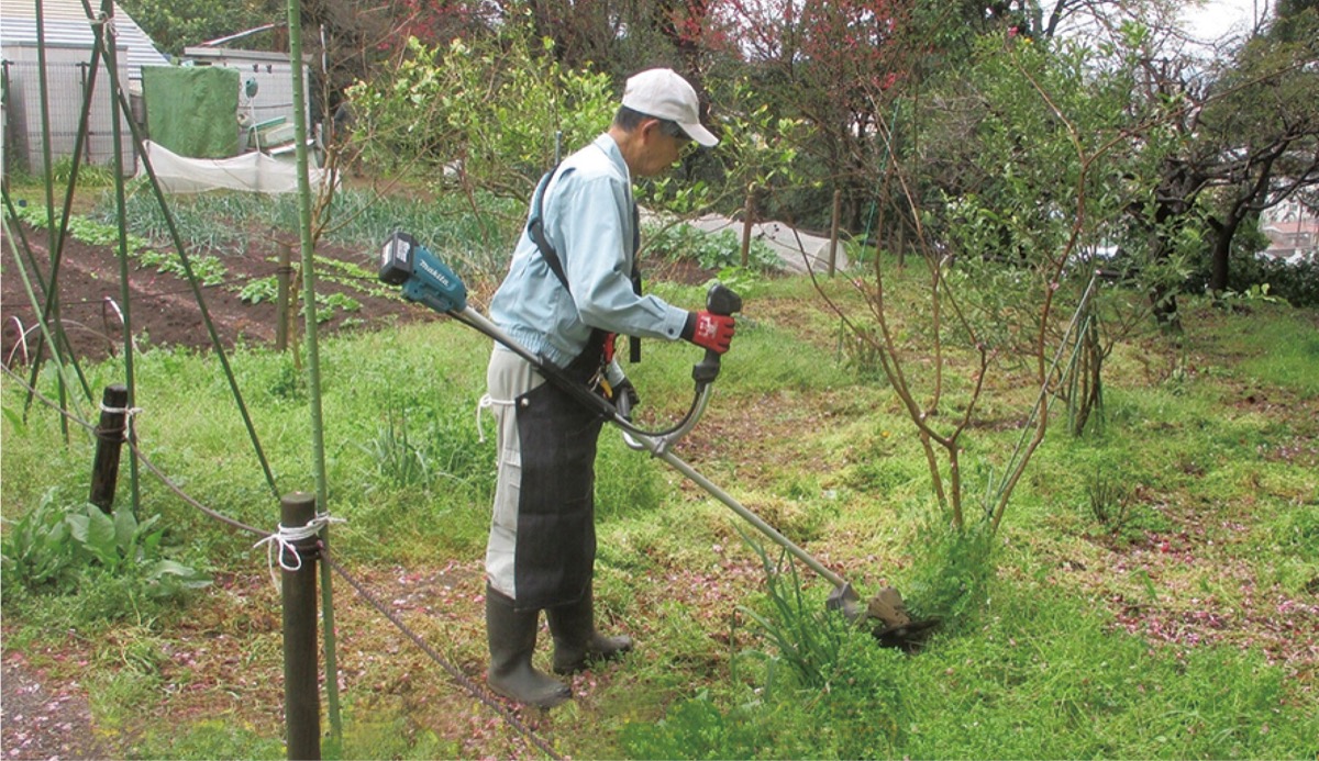 市民健康の森だより