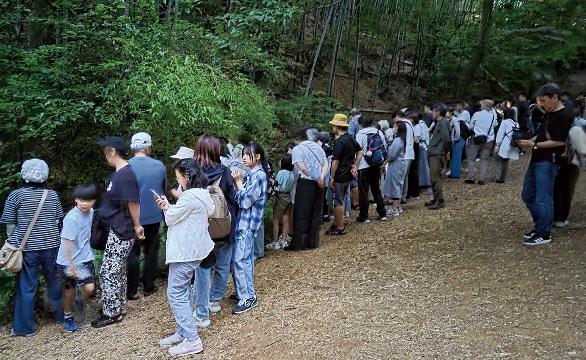 市民健康の森だより (写真2)