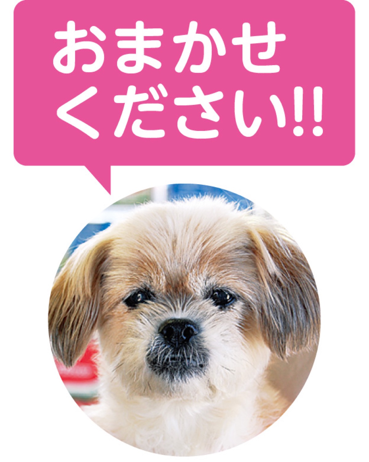 初代看板犬ハナちゃん