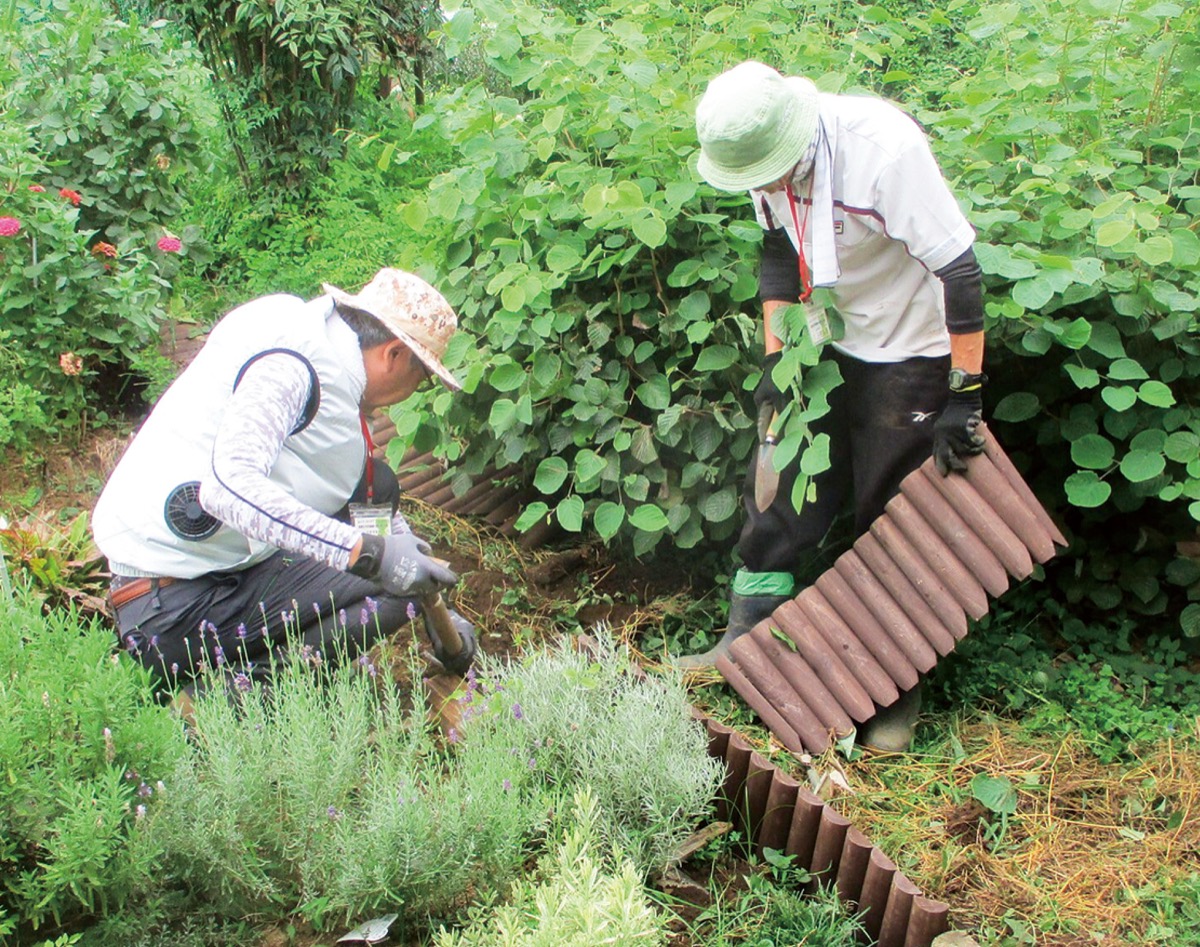 市民健康の森だより