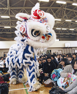 横浜中華学院の生徒による獅子舞が飛び入って大暴れ