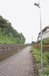 三沢川に昨年度５機のＬＥＤ防犯灯が設置された