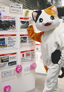 ペット防災、日常の備えを