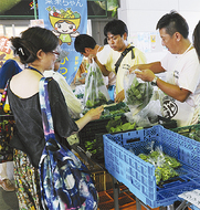 市内農産物が集結