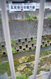フェンスの隙間からはっきり見える甌穴群