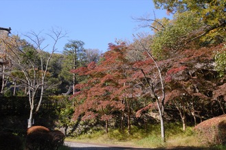 色づき始めた園内の木々＝11月5日撮影