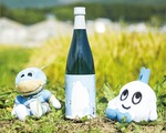 新発売の純米酒「青椿」