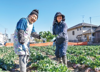 畑で収穫する寛子さん(左)と今井さん＝２月25日