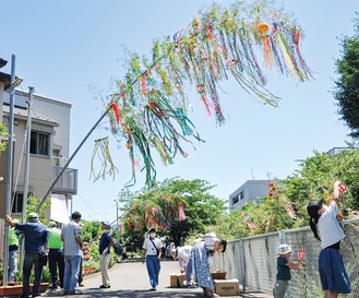 竹を設置する役員ら、川沿いの笹を飾り付ける子どもたち