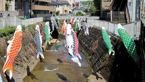 川の上を泳ぐこいのぼり＝４月21日