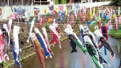 二ヶ領用水を泳ぐこいのぼり