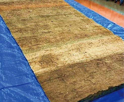 標本の一部＝科学館提供