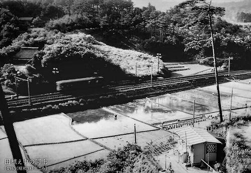 映画の1コマ＝芦澤さん提供