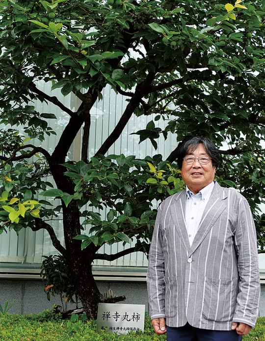 禅寺丸柿の木を前にする長瀬会長