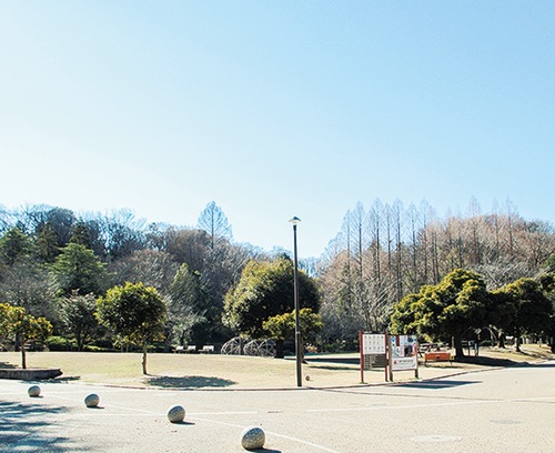 生田緑地中央広場