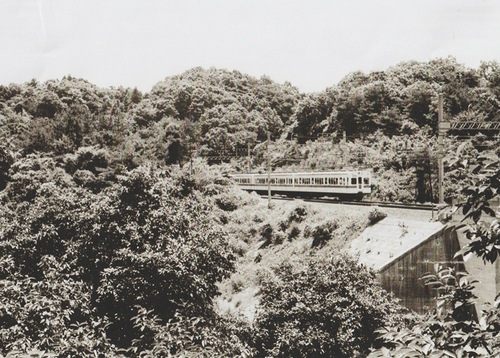 昨年の麻生区長賞の中の一枚