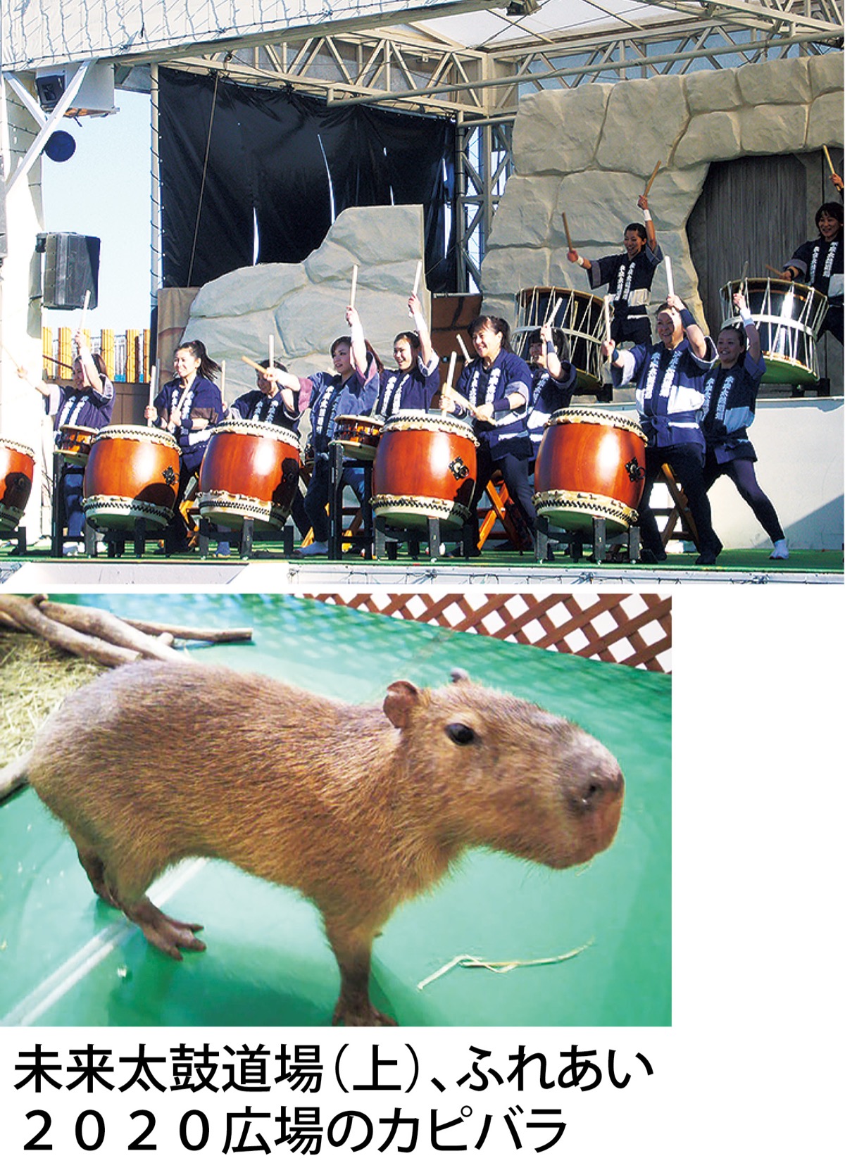 ｢子年｣は入園無料に