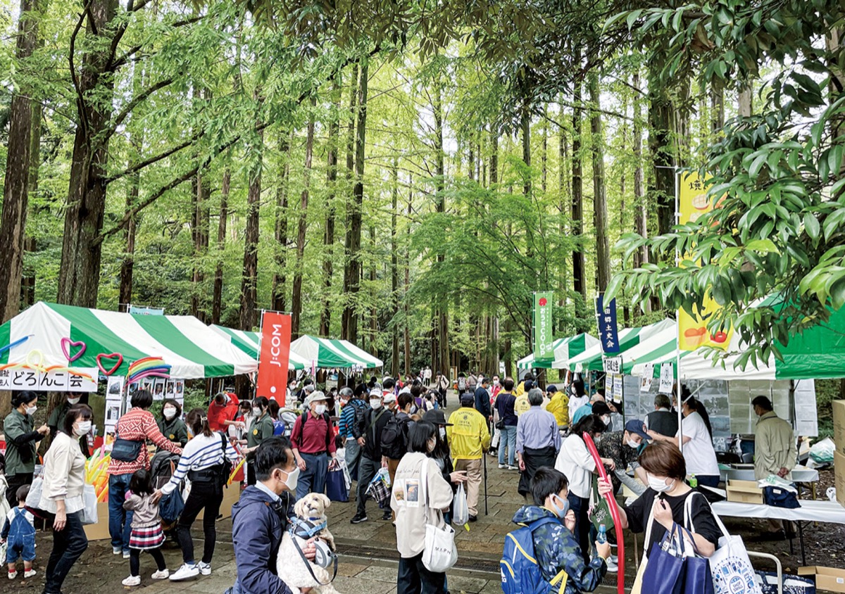 物販・展示が並んだメタセコイアの林