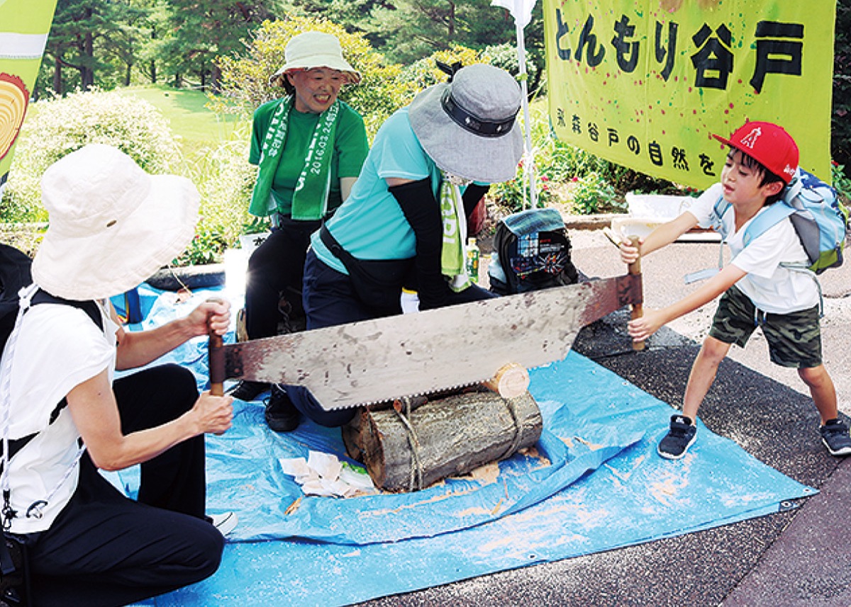 引きノコギリ体験をする親子