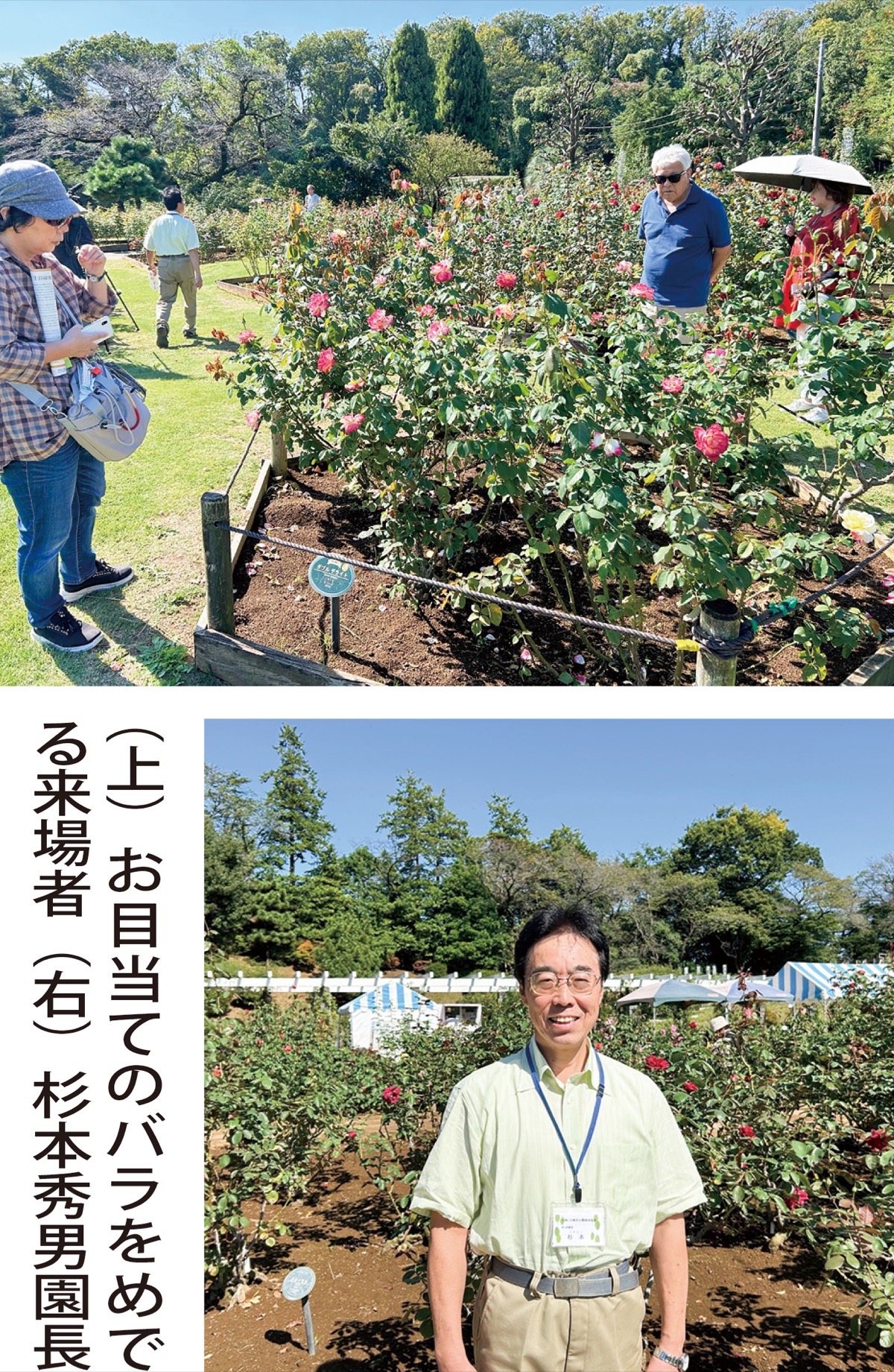 再整備前 最後の公開