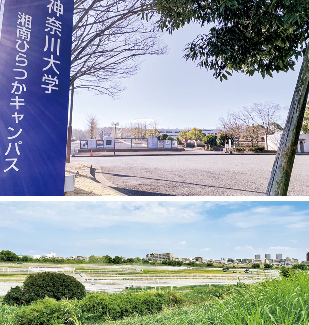 トレセン神大移転断念