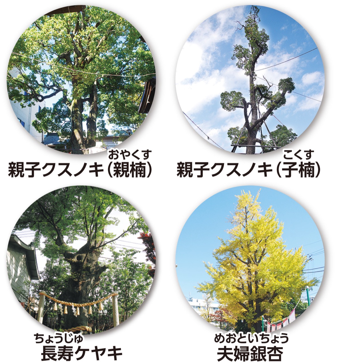 溝口神社にパワーをもらいに行こう (写真2)