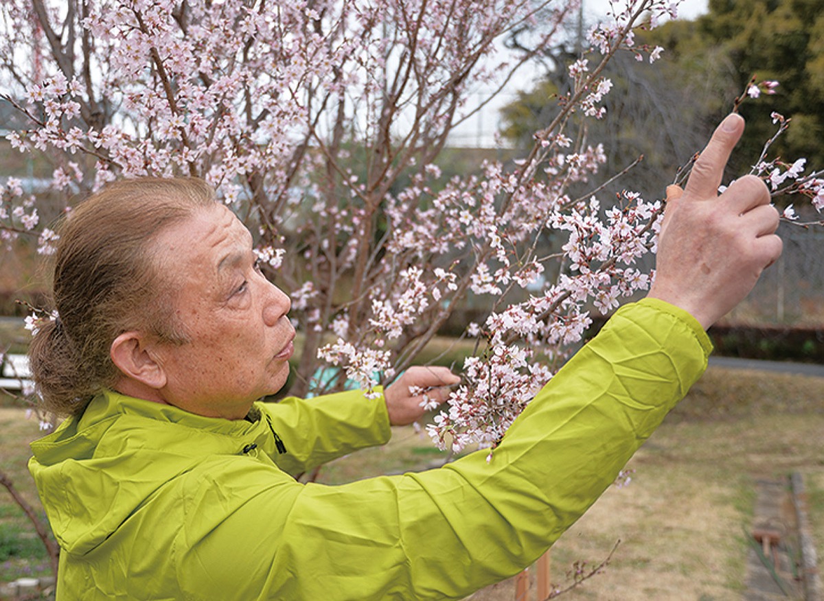 花を指さし特徴を説明する名古屋さん