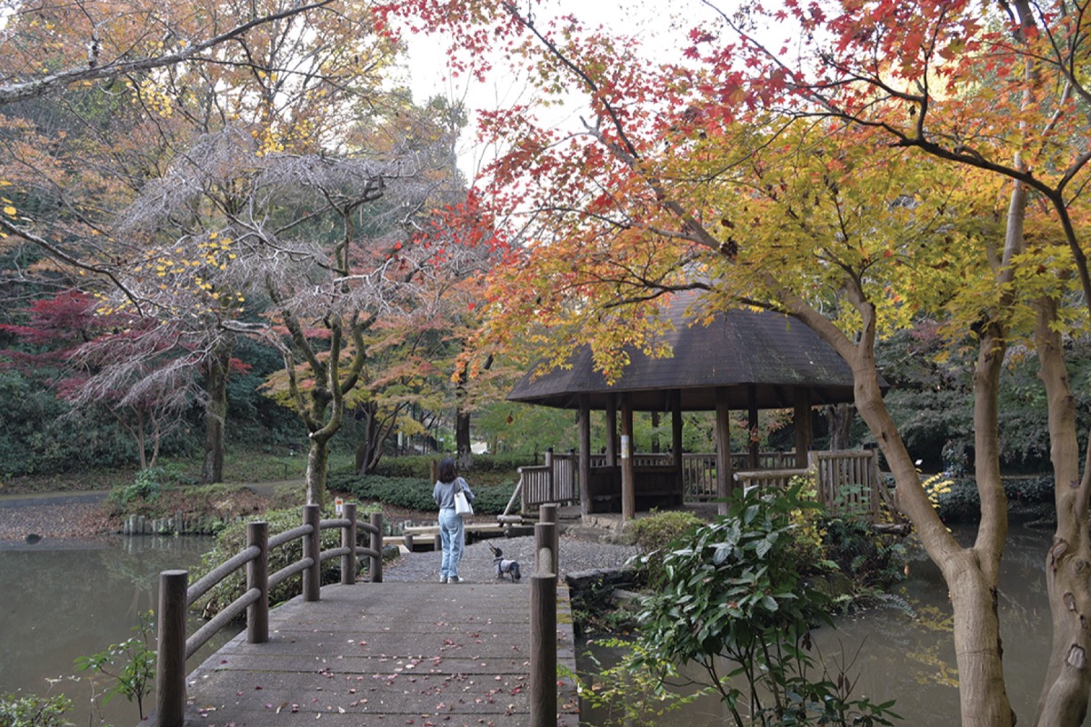 宮前区「東高根森林公園」