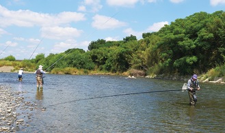 宇奈根付近でアユ釣りを楽しむ釣り人ら