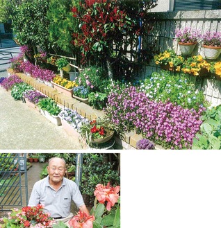 「彩りデザイン賞」を受賞した内藤さんの花壇と、内藤さん（下）