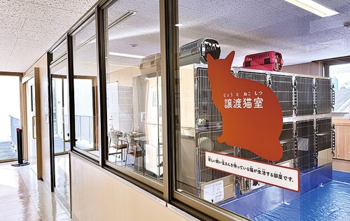 「アニコムねこちゃんとの出会いルーム」に