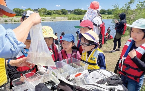 魚を見つめる子どもたち