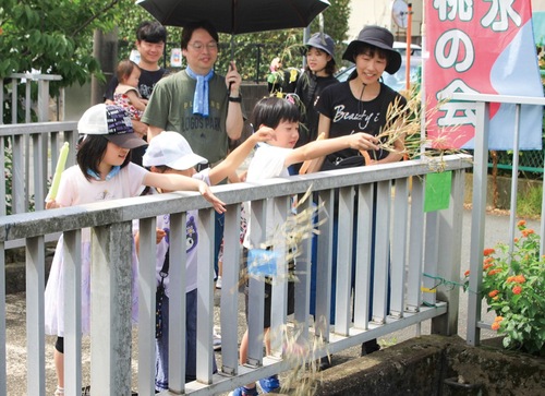 短冊を流す子どもたち