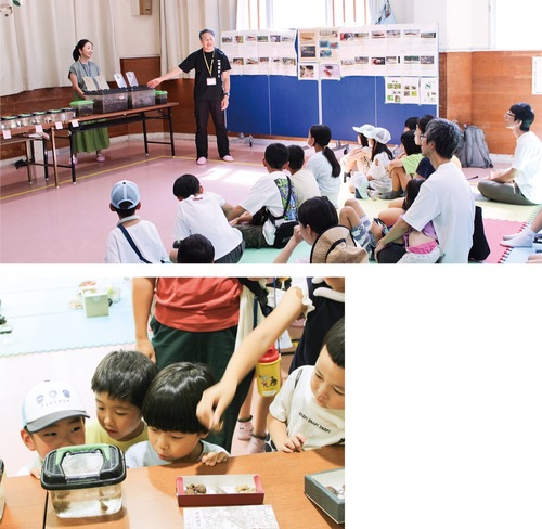 話をする内藤代表（上）と生き物を見る児童ら
