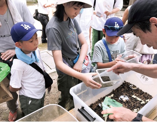 スズムシを譲り受ける親子