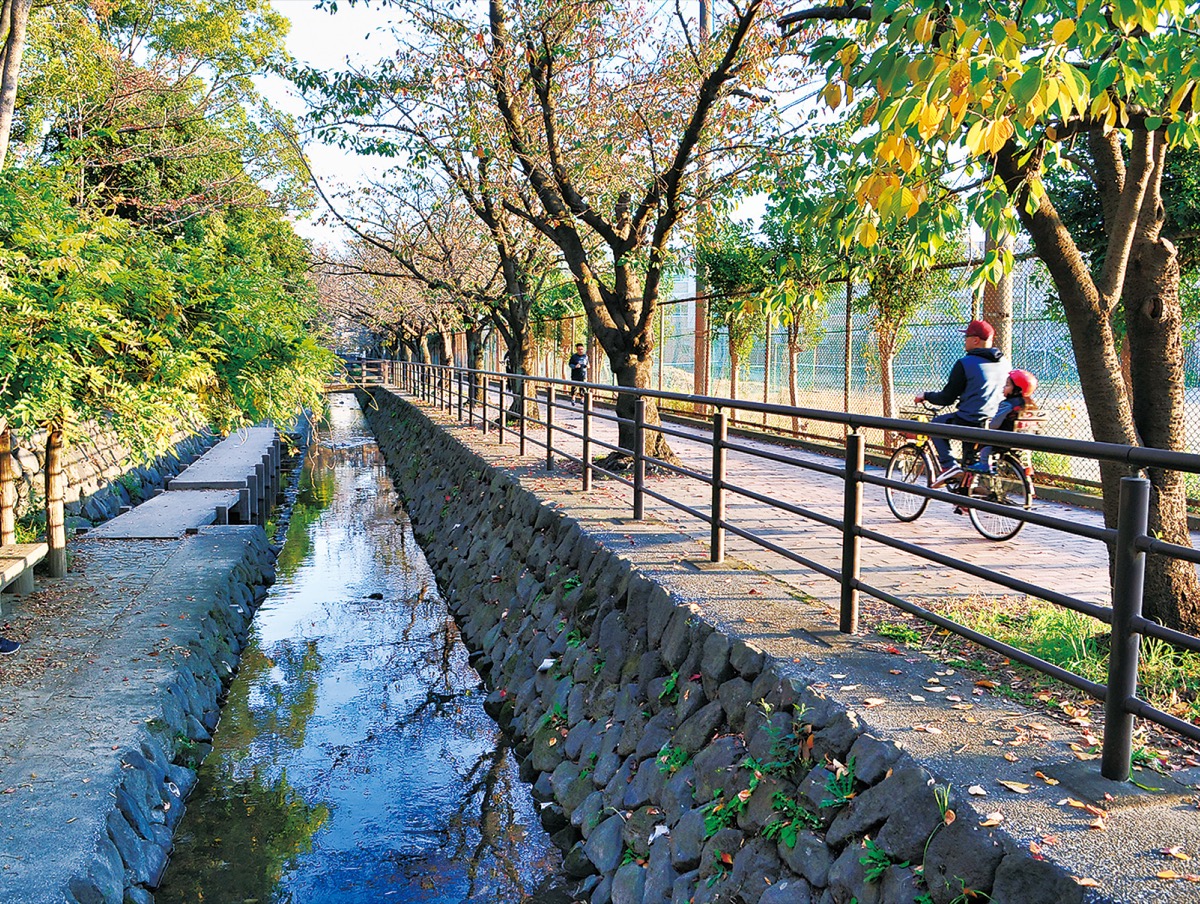 散策路となっている二ヶ領用水沿い