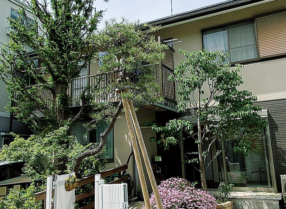 大木が目印の外観