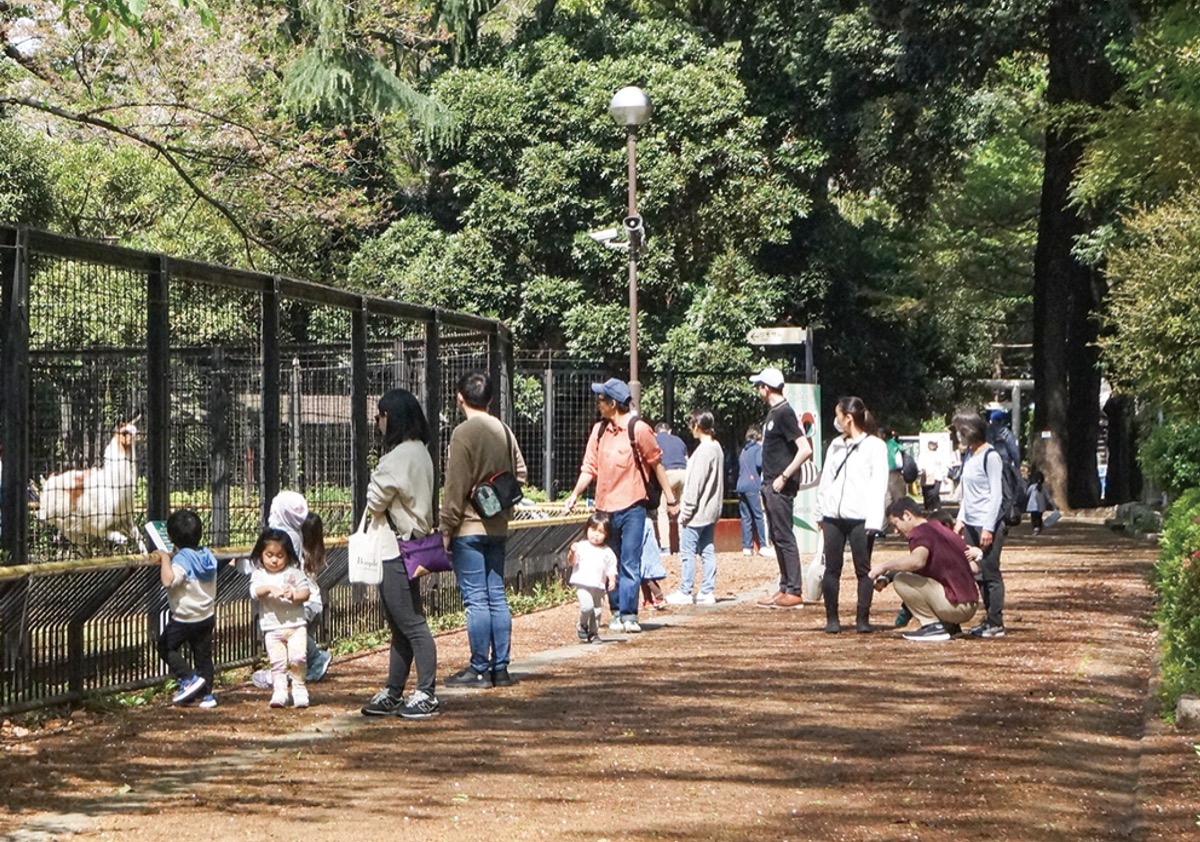 親子連れが多い夢見ヶ崎動物公園