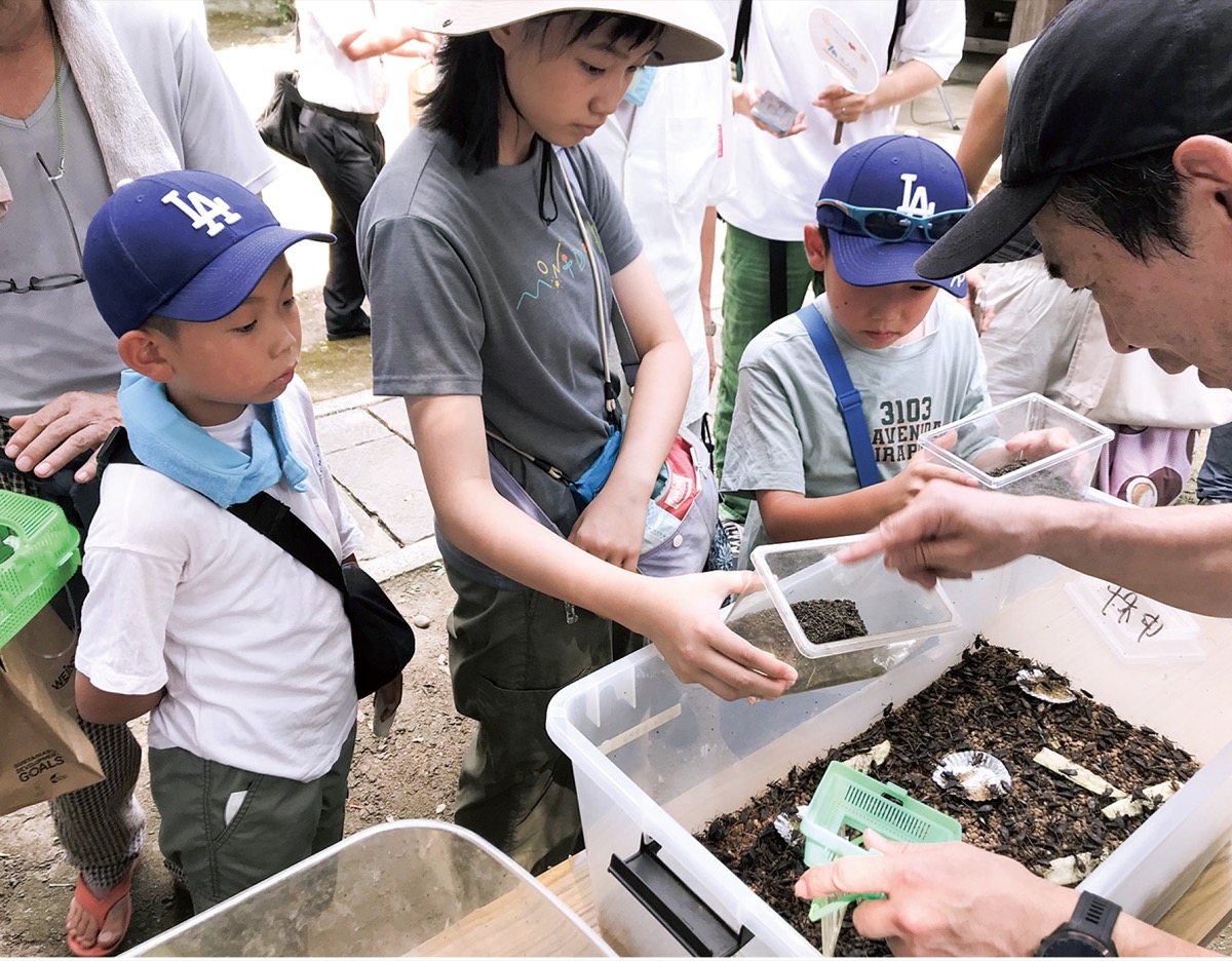 境内に響き渡る鳴き声