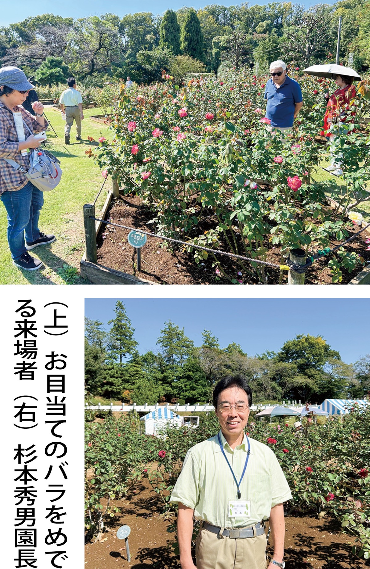 再整備前の最後の公開