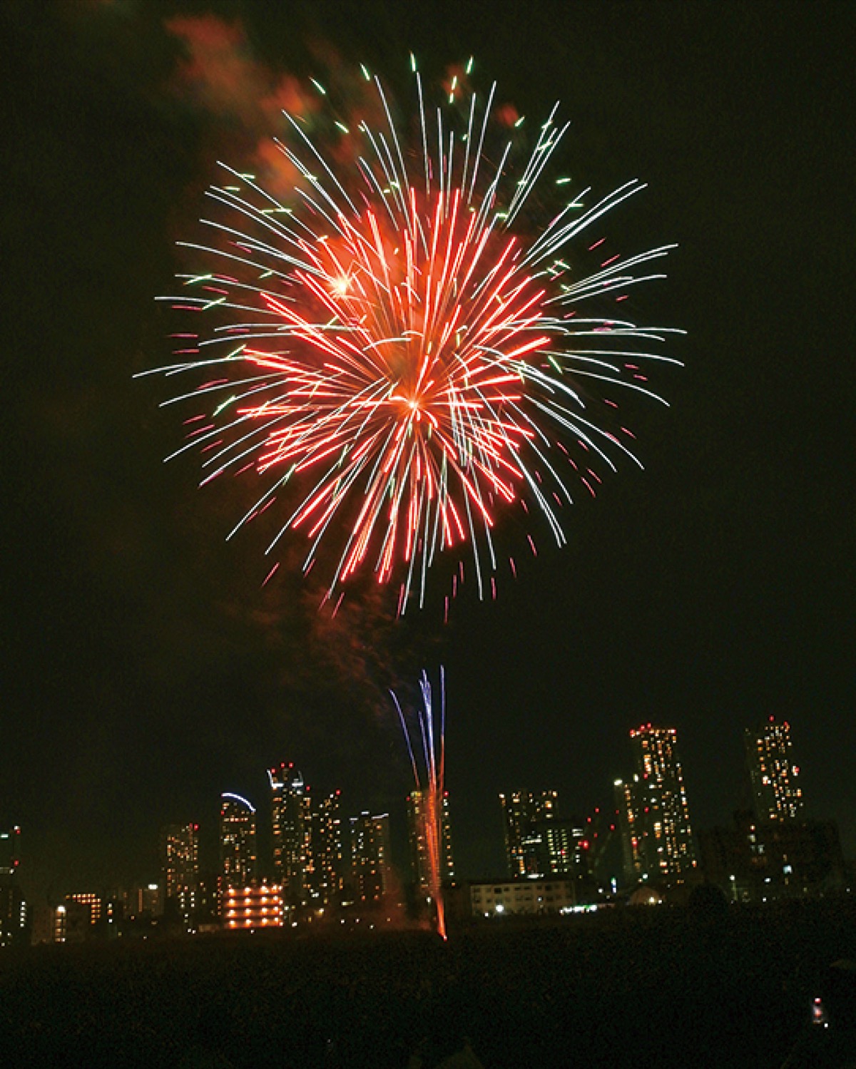 ｢丸子の渡し｣へ思い込め