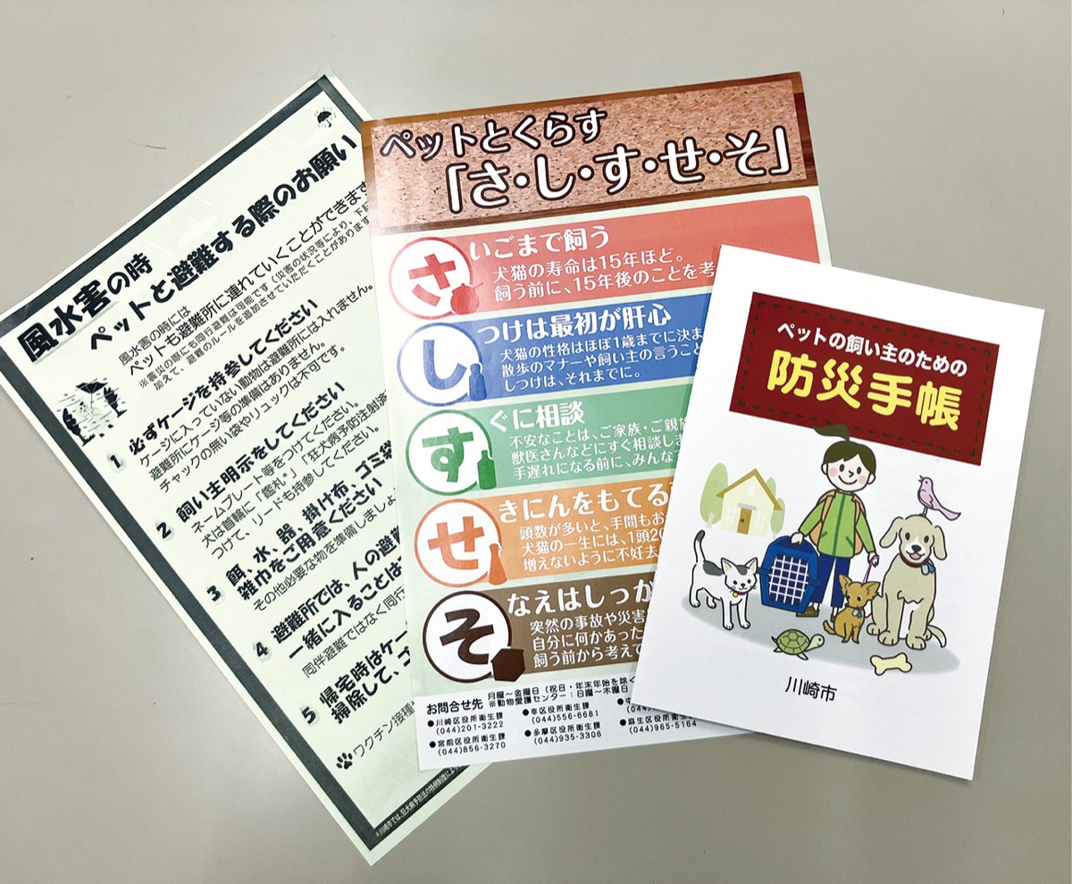 配布する予定の資料