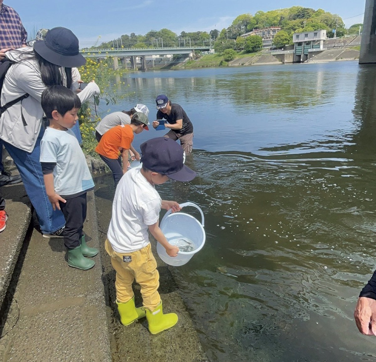多摩川に稚魚を放流