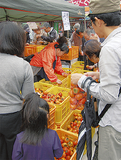 禅寺丸柿の即売は毎年完売の人気企画