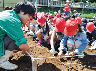 大豆の種を植える児童