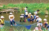 鶴見川の自然環境学ぶ