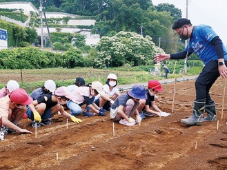 社員（右）に教わりながら、種に土をかぶせる児童