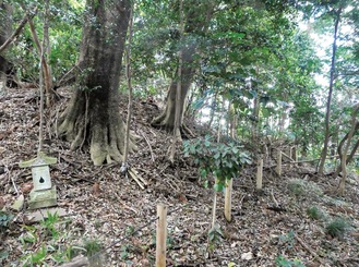 屋敷跡がしのばれる雑木林と１号墳の石碑