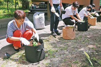 苗を植えていく山本区長(左）と福澤さん(中央)