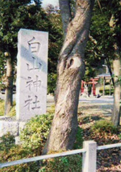 麻生の古道(2)　義貞伝承道